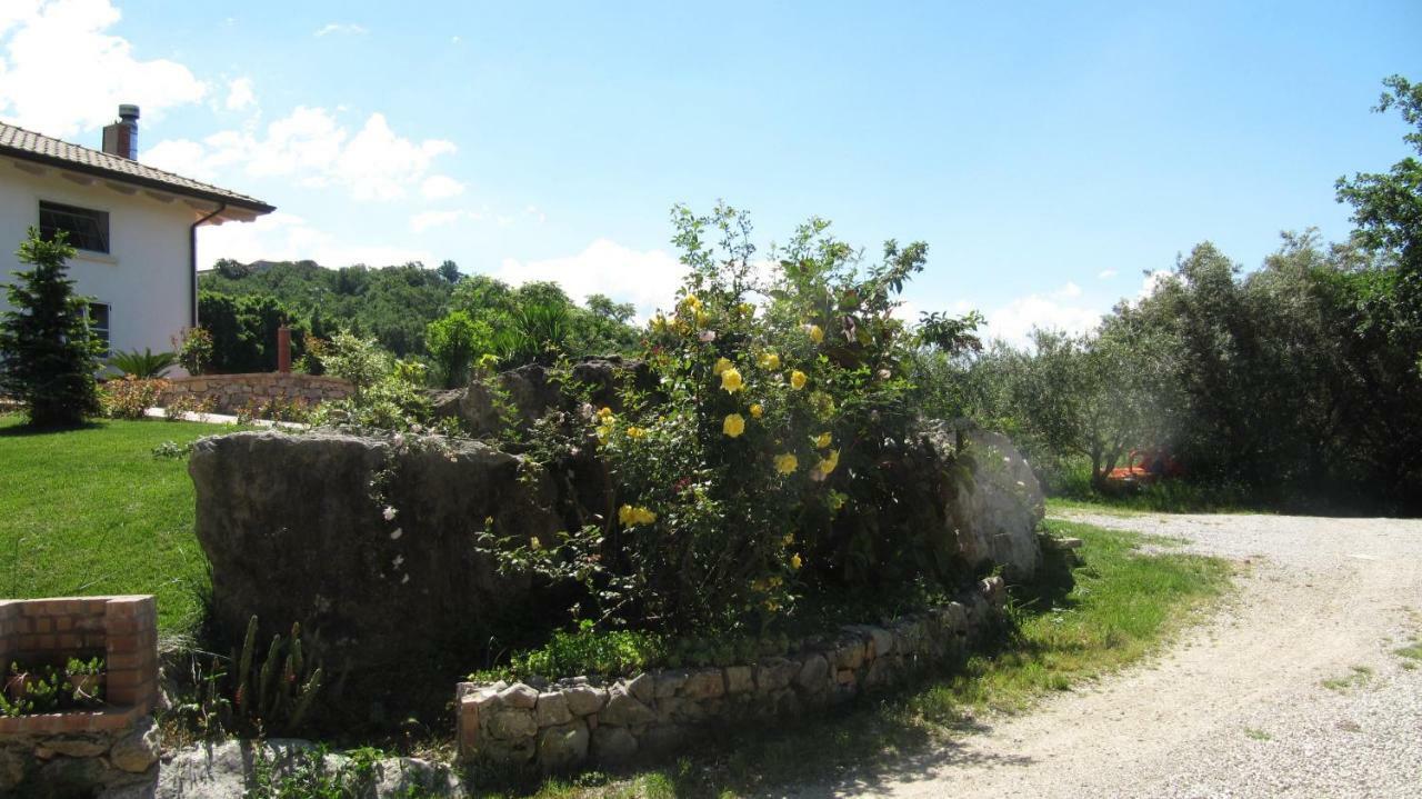 קאפאצ'יו-פאסטום B&B Macchia D'Olmo מראה חיצוני תמונה
